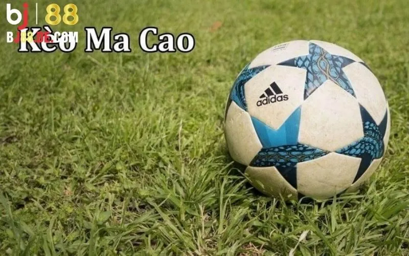 Những lưu ý quan trọng khi cá cược Kèo Ma Cao