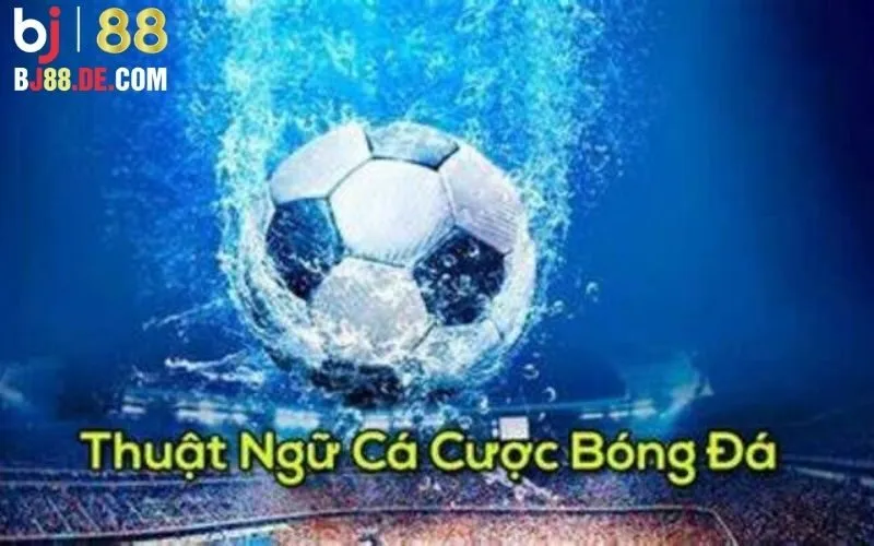 Thuật ngữ cá độ bóng đá