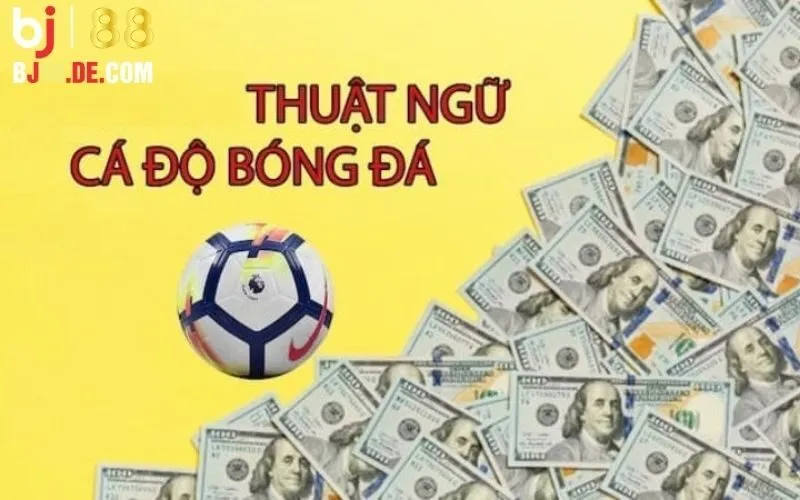 Thuật ngữ liên quan đến Bj88